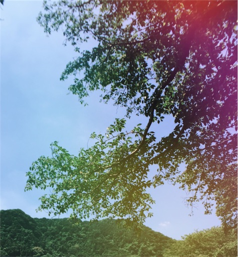 f:id:loveaihara:20170718183718j:image f:id:loveaihara:20170718183718j:image