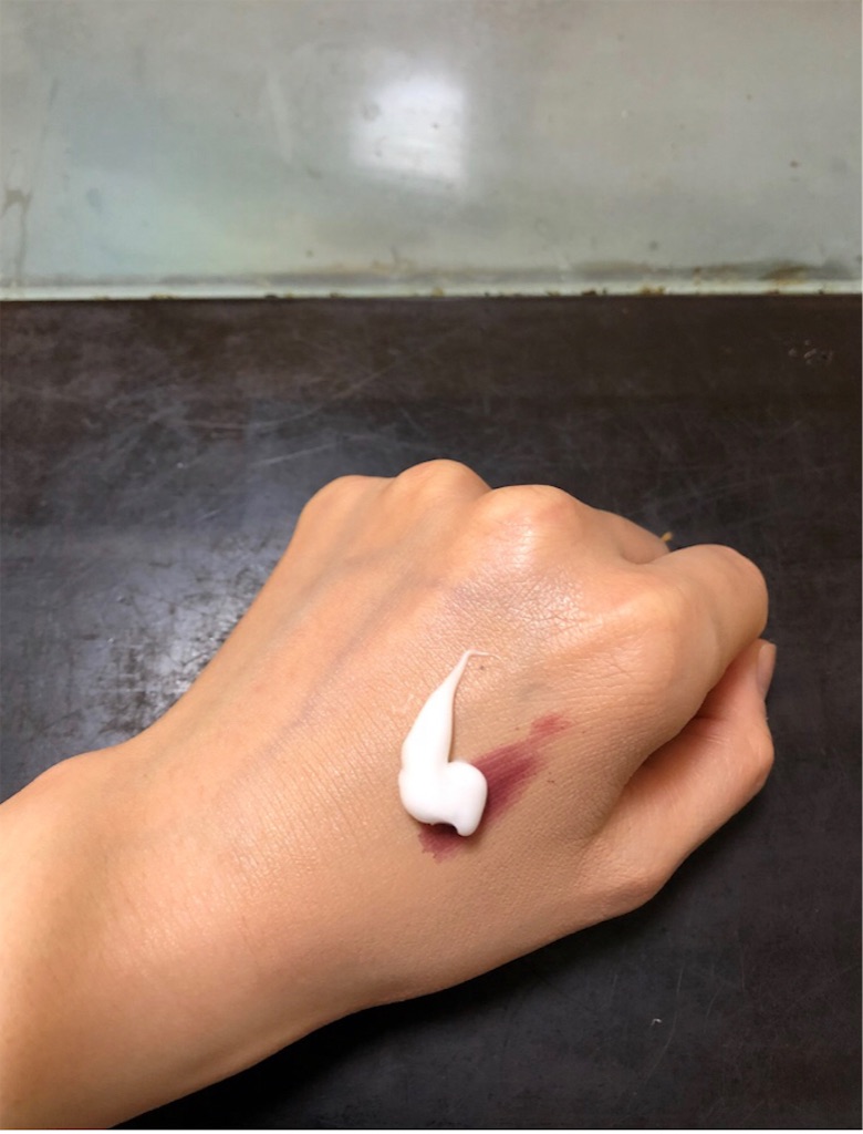 f:id:lovecapybara:20210328202539j:image f:id:lovecapybara:20210328202539j:image