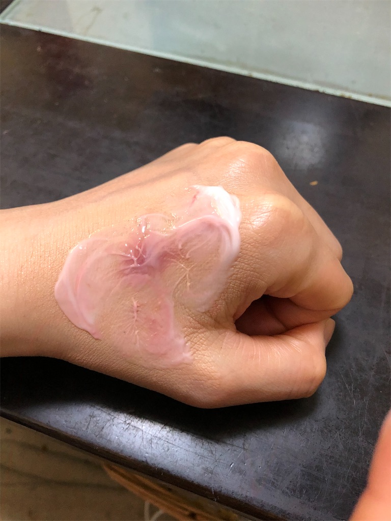 f:id:lovecapybara:20210328202601j:image f:id:lovecapybara:20210328202601j:image