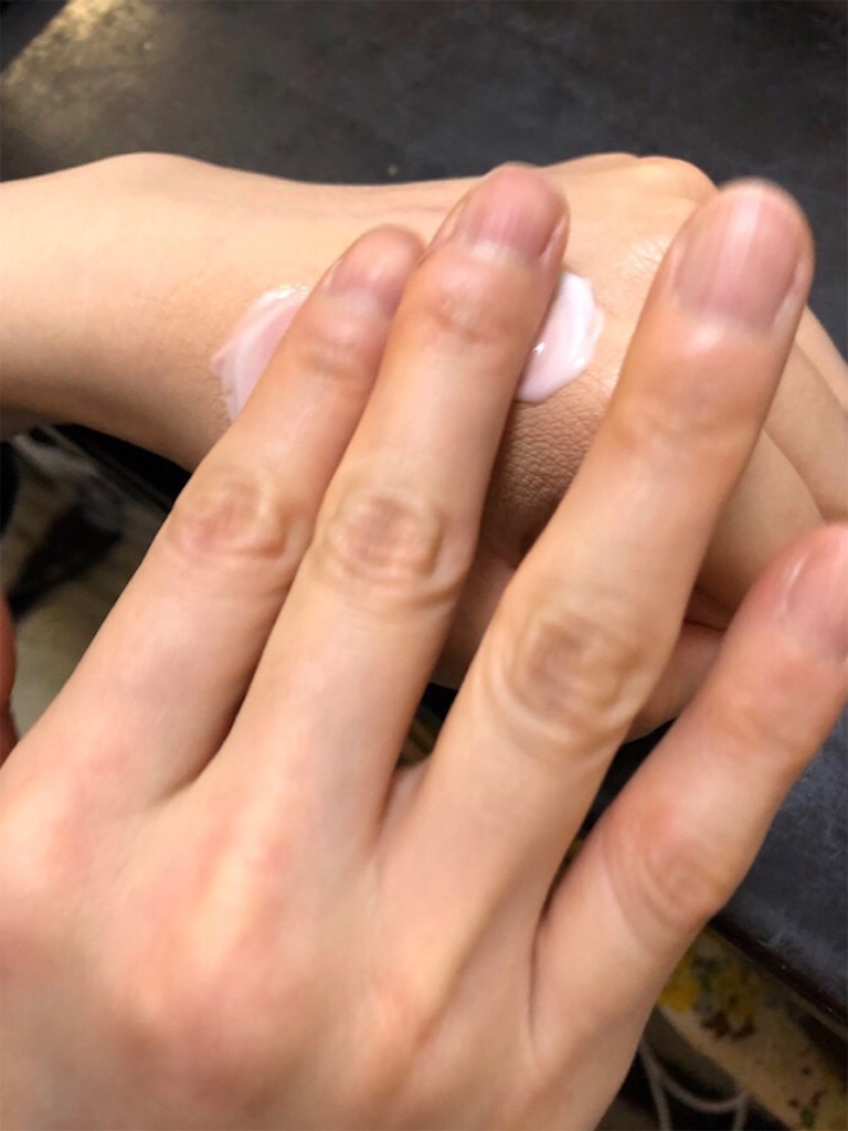 f:id:lovecapybara:20210328202801j:image f:id:lovecapybara:20210328202801j:image