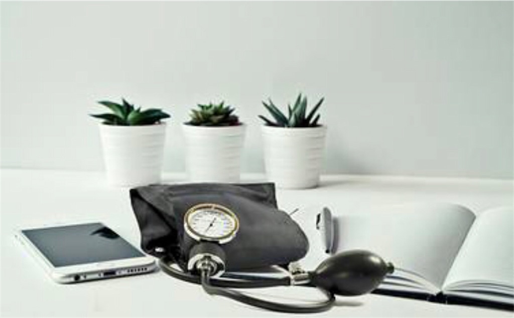 f:id:lovecapybara:20220209183205j:image f:id:lovecapybara:20220209183205j:image