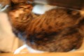 20150630223616