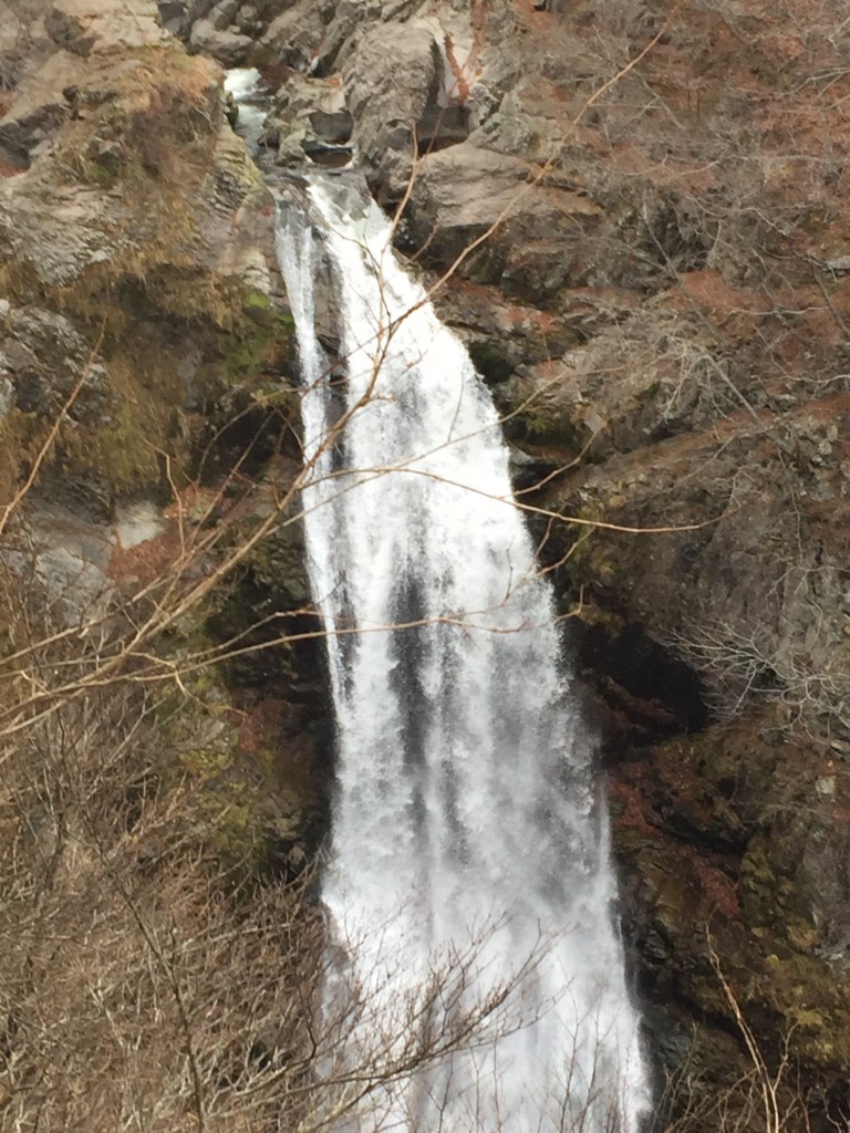 f:id:lovecats:20161207143314j:plain