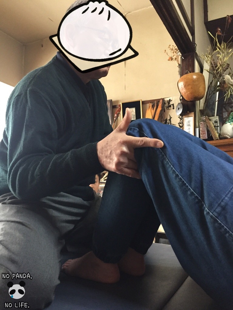 f:id:lovecats:20170115115312j:plain f:id:lovecats:20170115115312j:plain