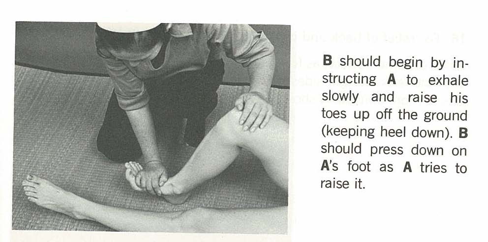 f:id:lovecats:20170124120802j:plain