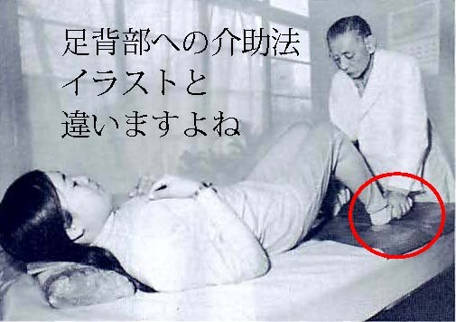 f:id:lovecats:20170124121236j:plain