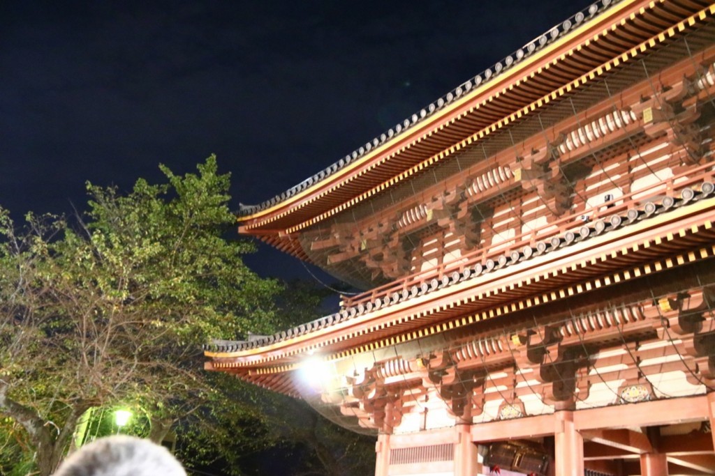 f:id:lovecats:20170602155916j:plain