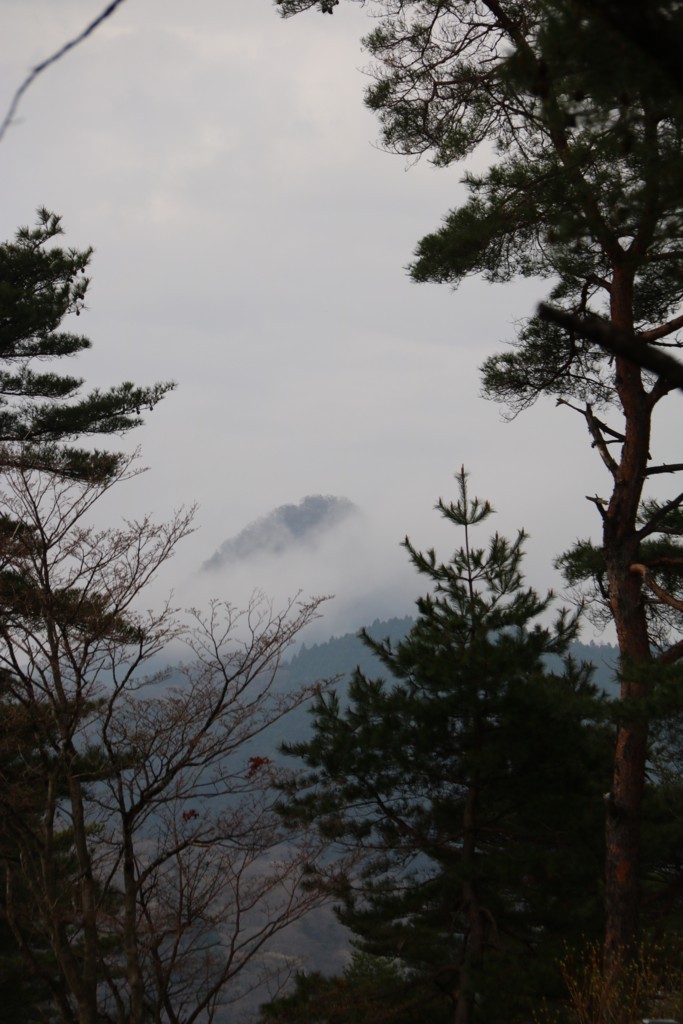 f:id:lovecats:20180419154522j:plain f:id:lovecats:20180419154522j:plain