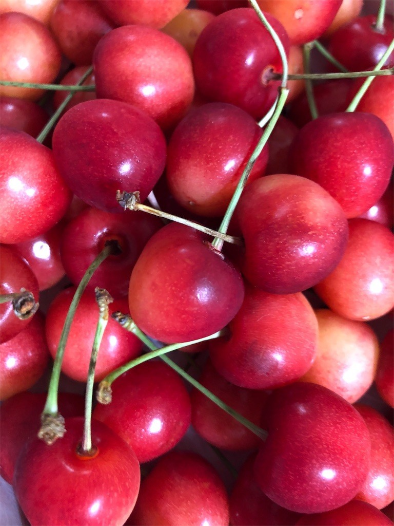 f:id:lovecats:20180625133448j:image