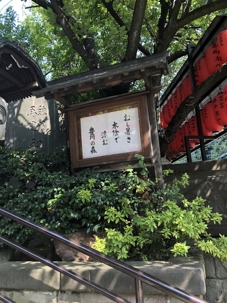f:id:lovecats:20180807135849j:plain f:id:lovecats:20180807135849j:plain