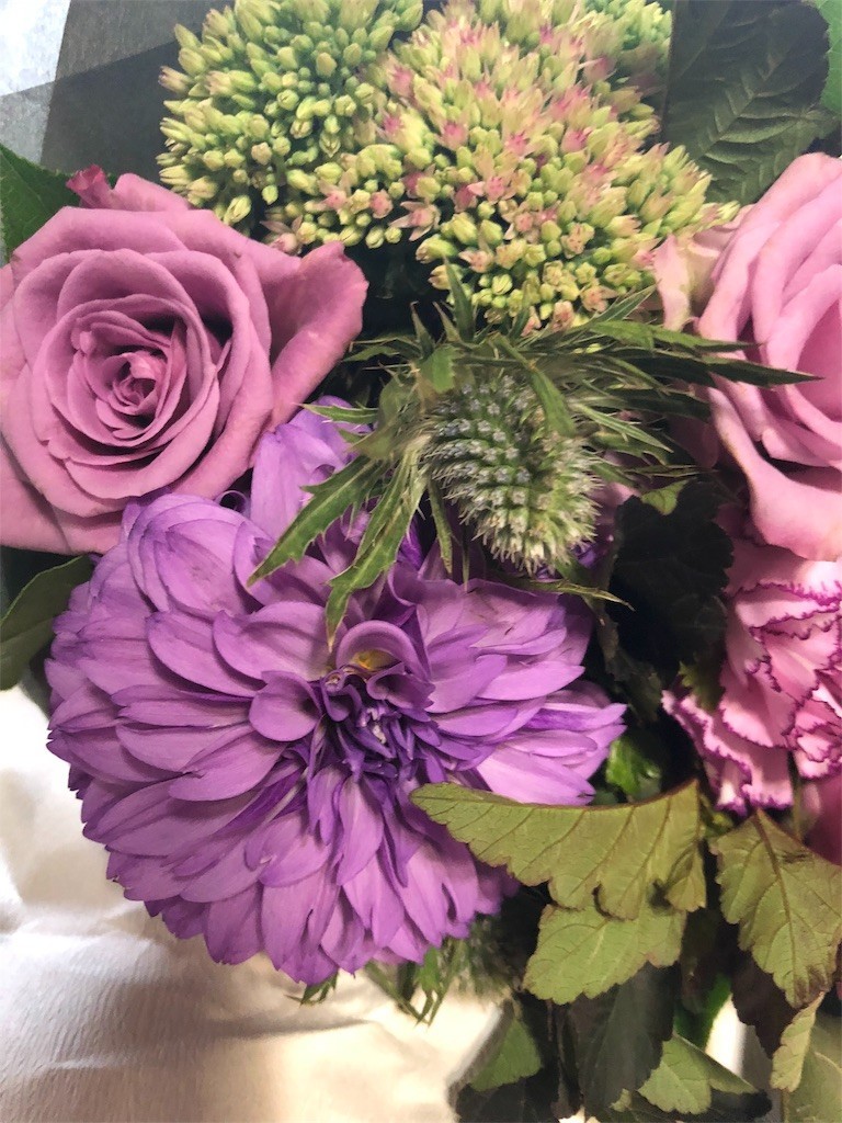 f:id:lovecats:20180909212753j:image