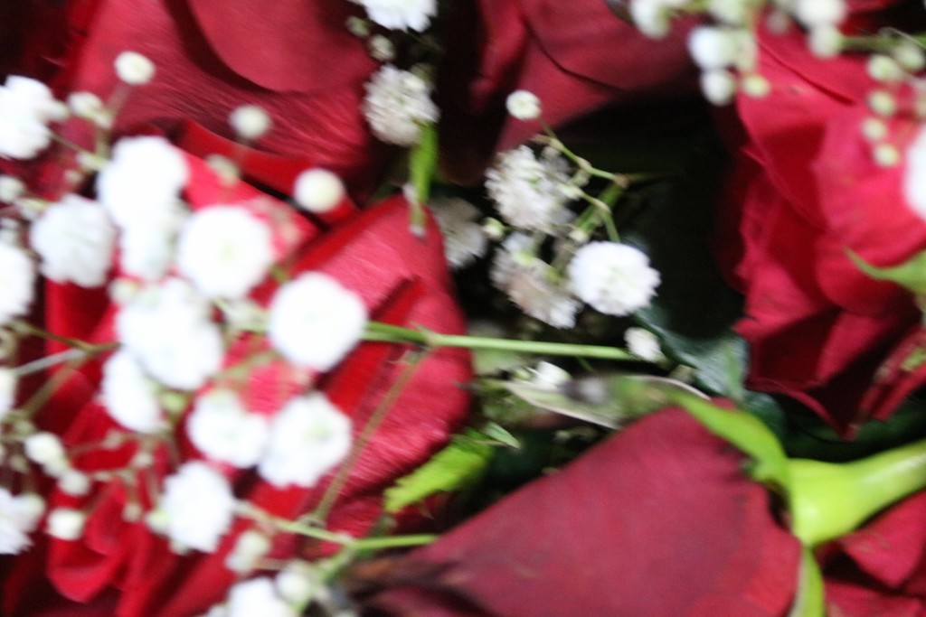 f:id:lovecats:20180914160620j:plain