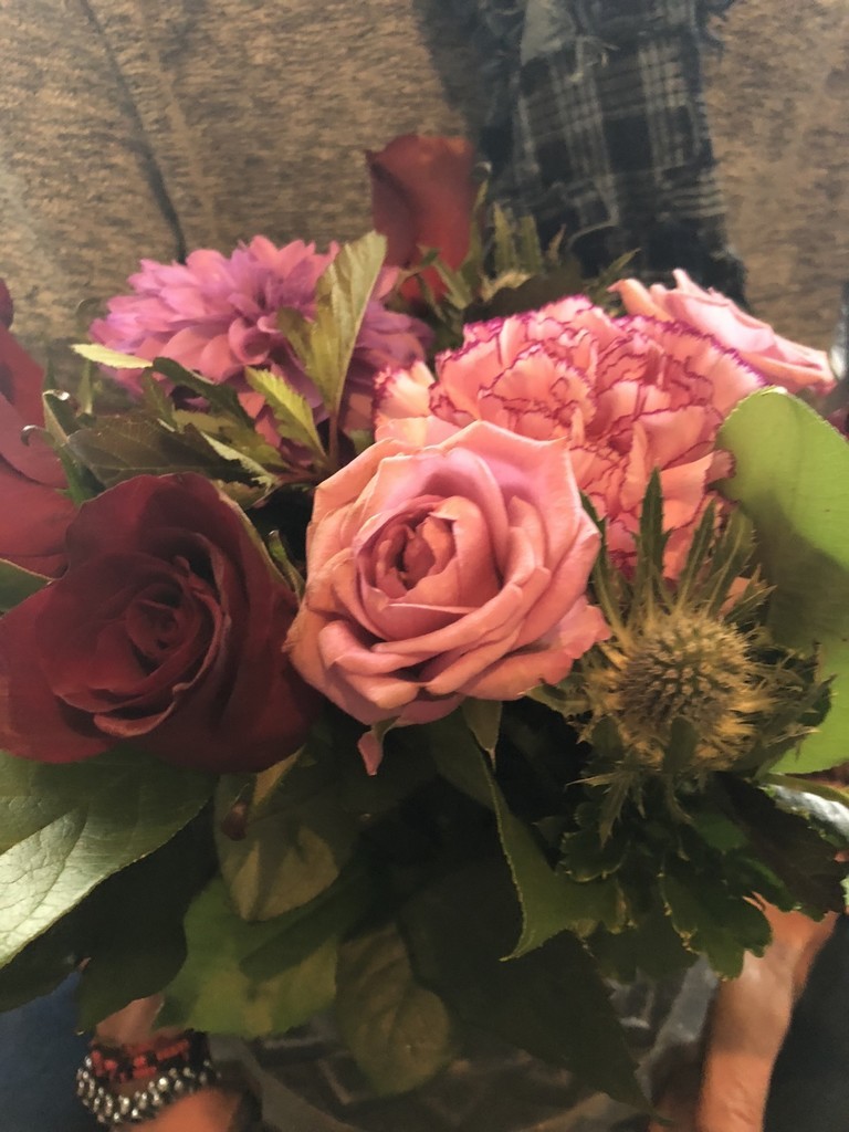 f:id:lovecats:20190106141817j:plain f:id:lovecats:20190106141817j:plain