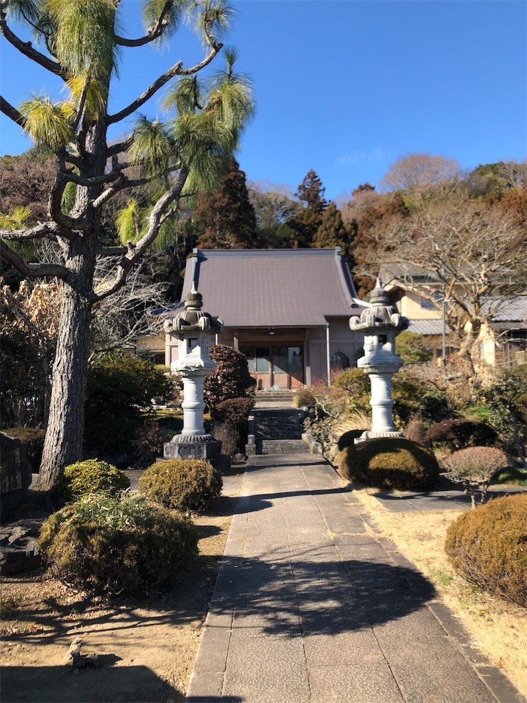 f:id:lovecats:20190119220256j:image f:id:lovecats:20190119220256j:image