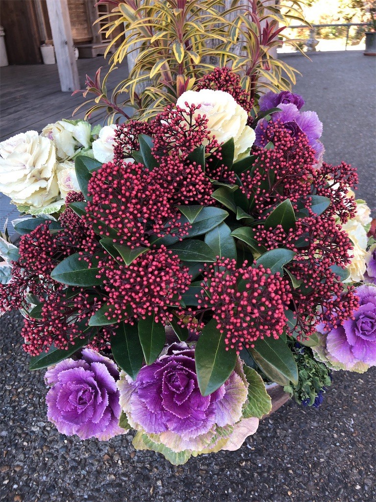 f:id:lovecats:20190119220301j:image f:id:lovecats:20190119220301j:image