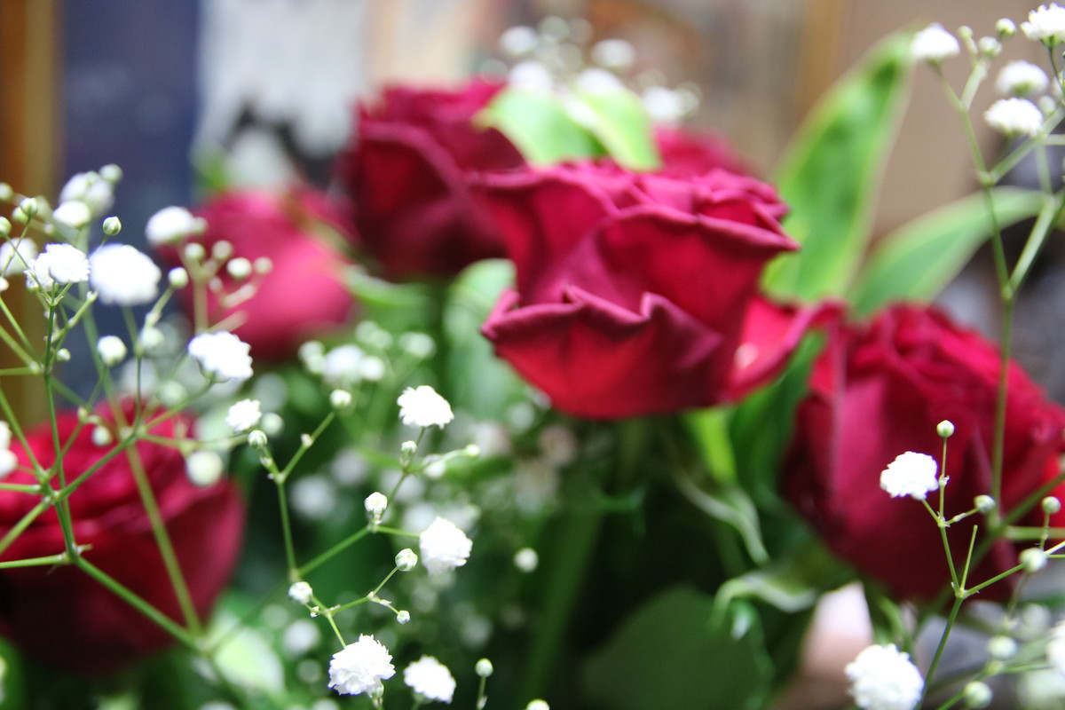 f:id:lovecats:20200913175002j:plain f:id:lovecats:20200913175002j:plain