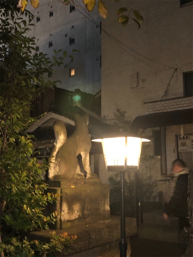 f:id:lovecats:20201208174317j:image f:id:lovecats:20201208174317j:image
