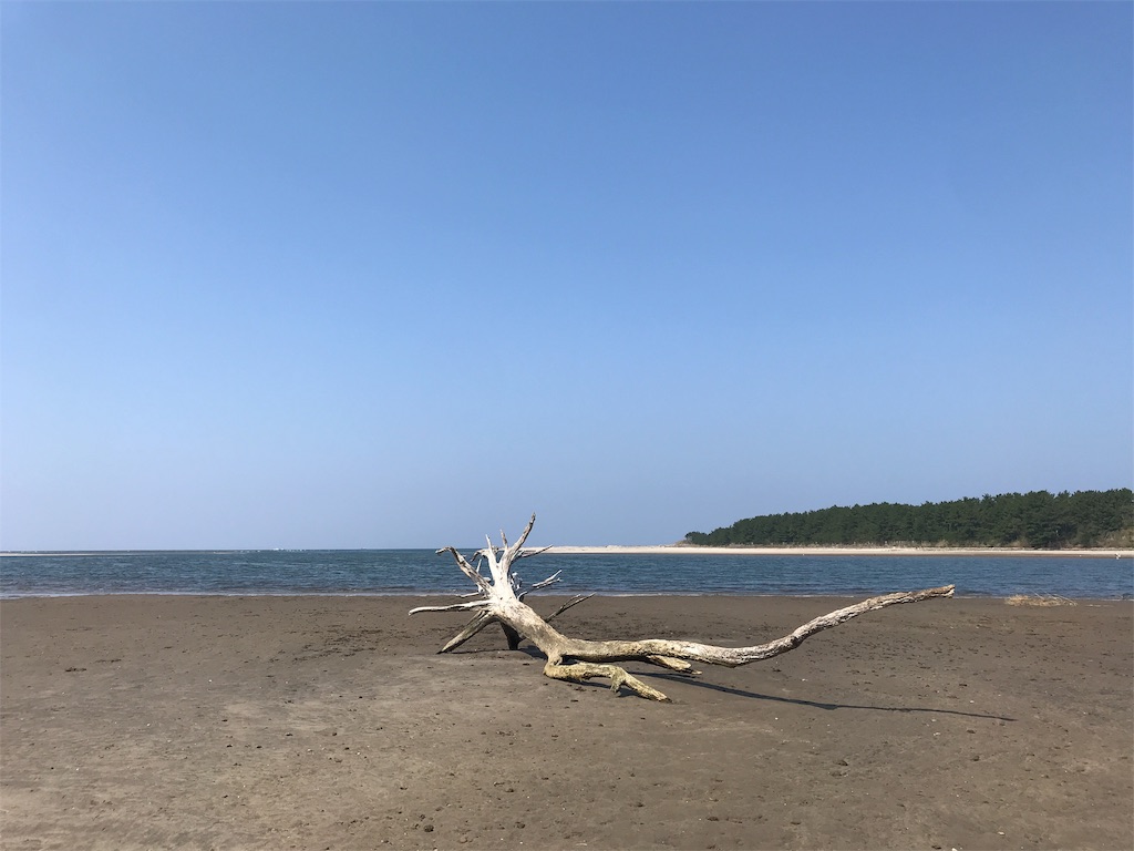 f:id:loveflag:20190311101105j:image