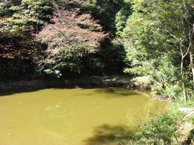 f:id:lovegetchu:20091022124524j:image f:id:lovegetchu:20091022124524j:image