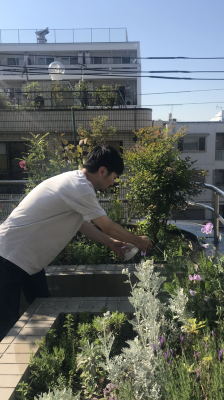 f:id:lovegreen_media:20180523182025p:plain f:id:lovegreen_media:20180523182025p:plain
