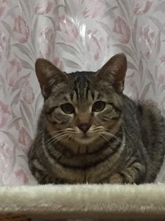 ハルアップ.JPG