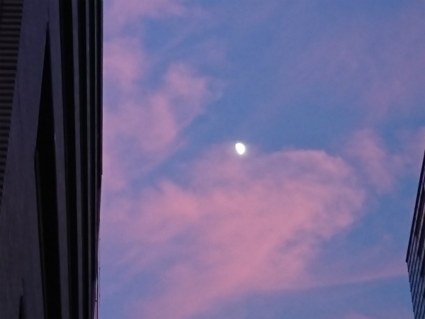 f:id:lovelite7:20180813222213j:plain f:id:lovelite7:20180813222213j:plain