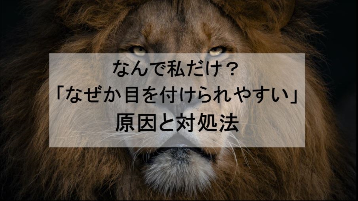 なんで私だけ 目を付けられやすい原因と対処法 反応しない 証拠を残す 第三者を交える 小さく死んで 生きていく