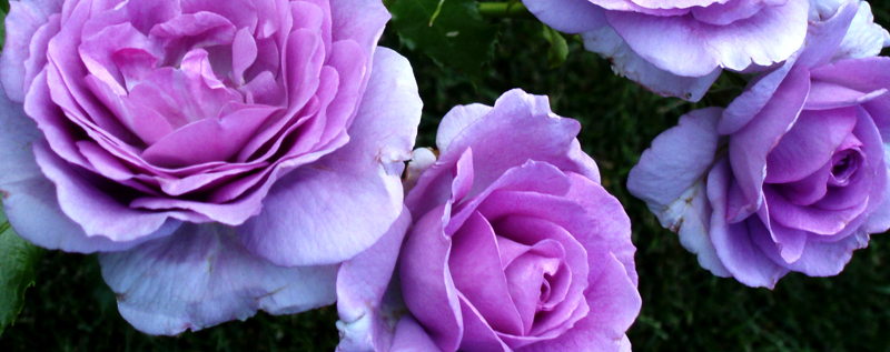f:id:lovelp:20110730213949j:image