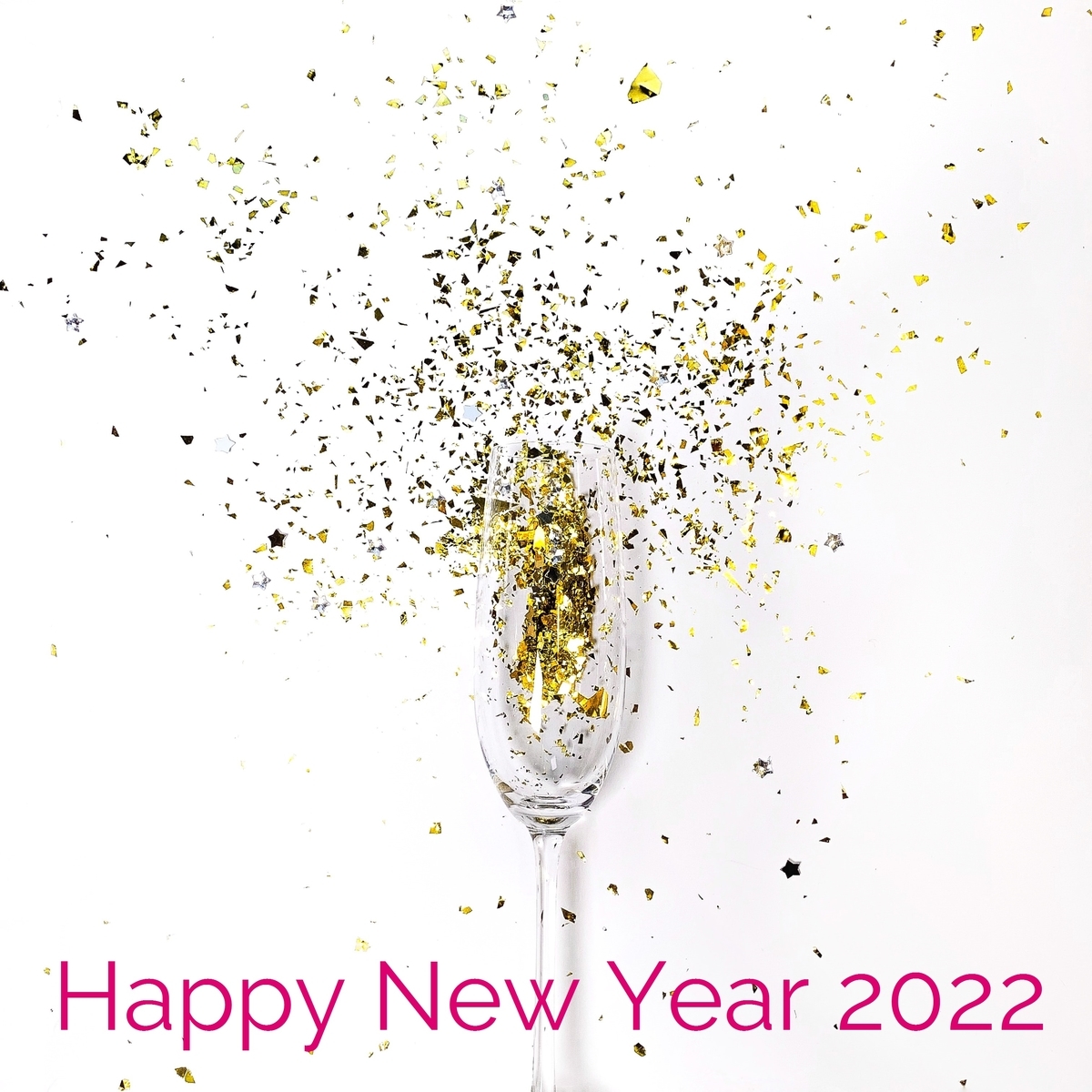 f:id:lovely-kermit:20220101172609j:plain