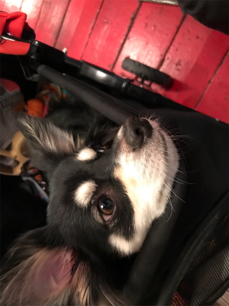 f:id:lovely088:20171001201335j:image f:id:lovely088:20171001201335j:image