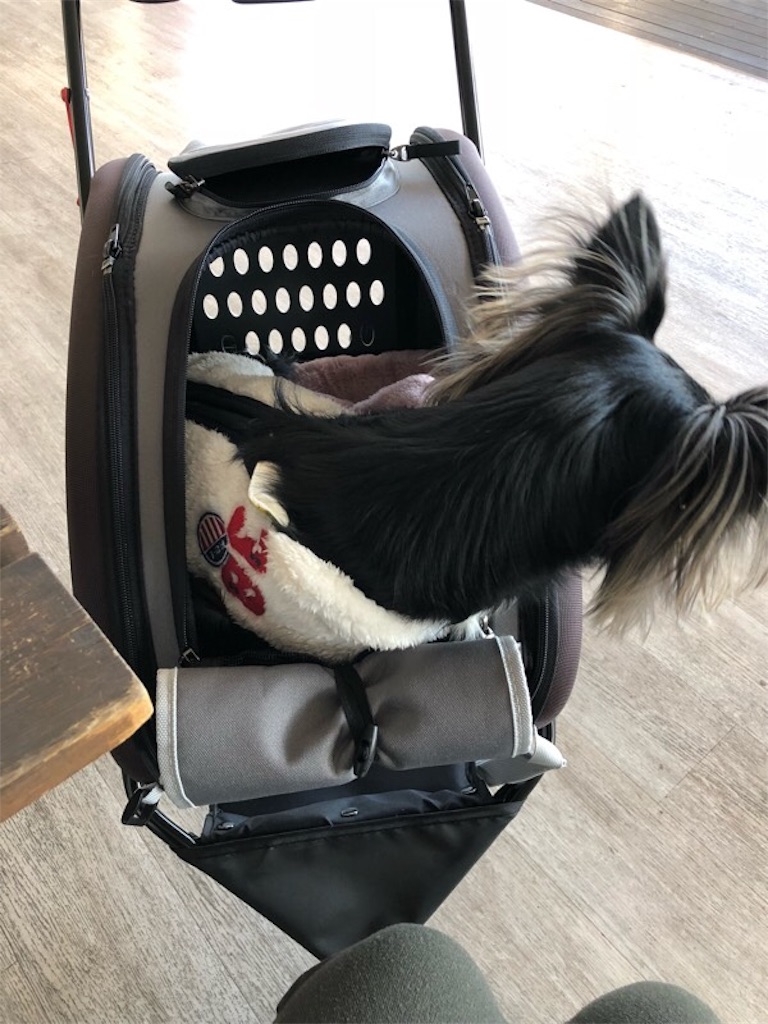 4WAY ペットカート FPC-920 犬のカートを買い替えました♪ - 気ままな
