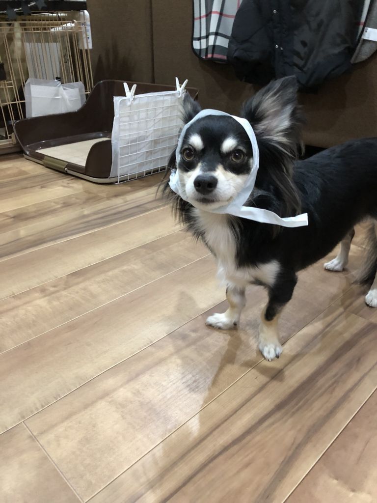 f:id:lovely088:20180312012130j:plain