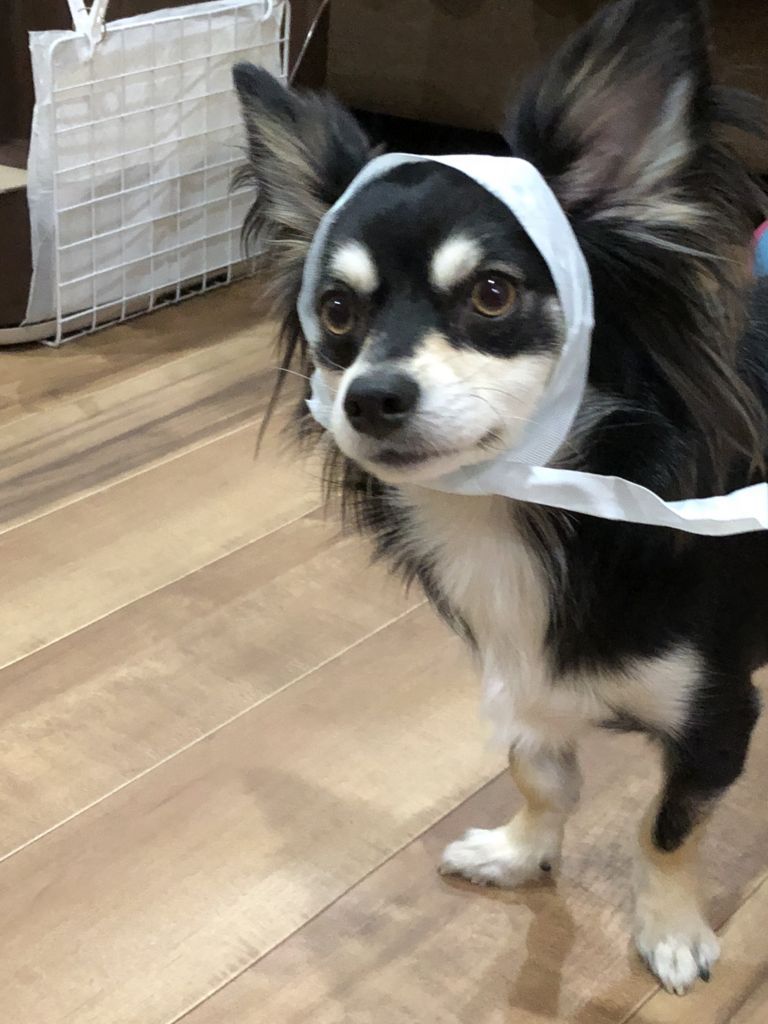 f:id:lovely088:20180312012140j:plain