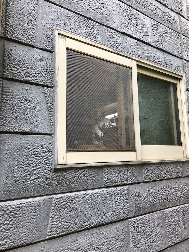 f:id:lovely088:20180418161433j:plain