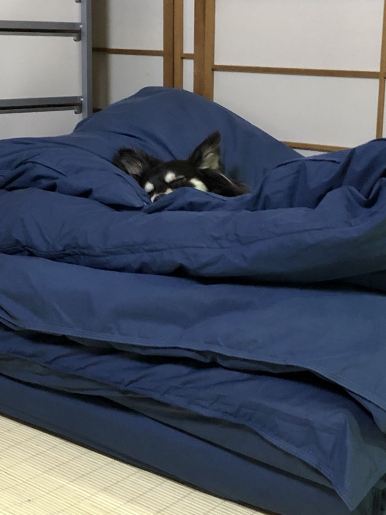 f:id:lovely088:20180614173452j:plain