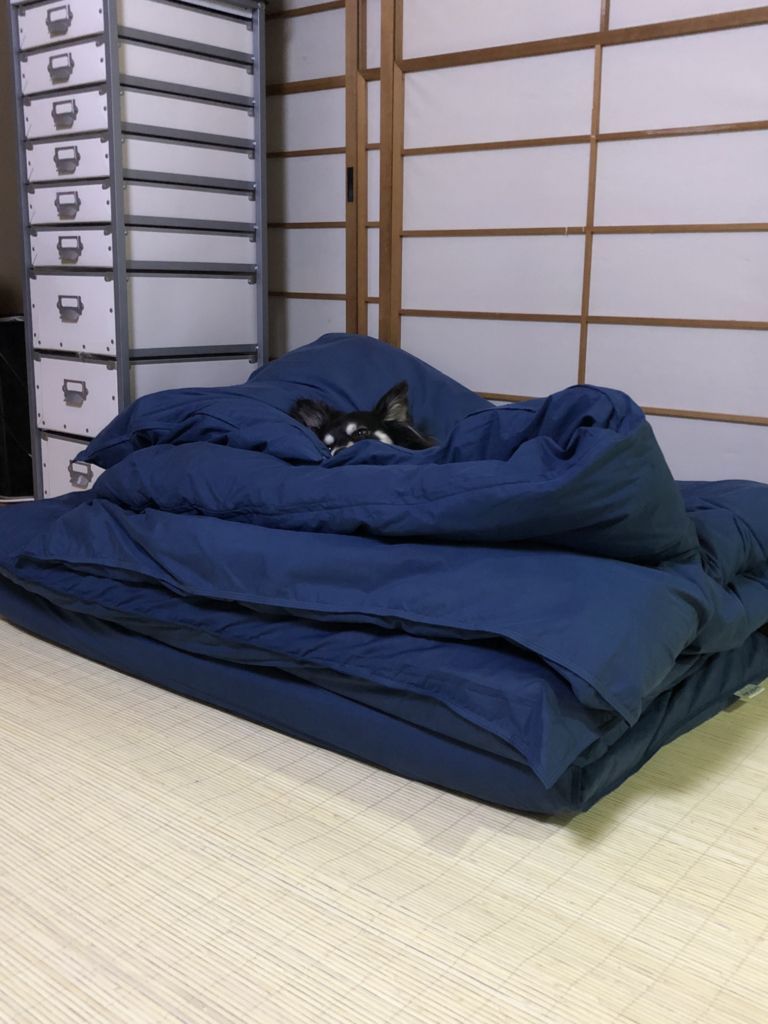 f:id:lovely088:20180614173503j:plain