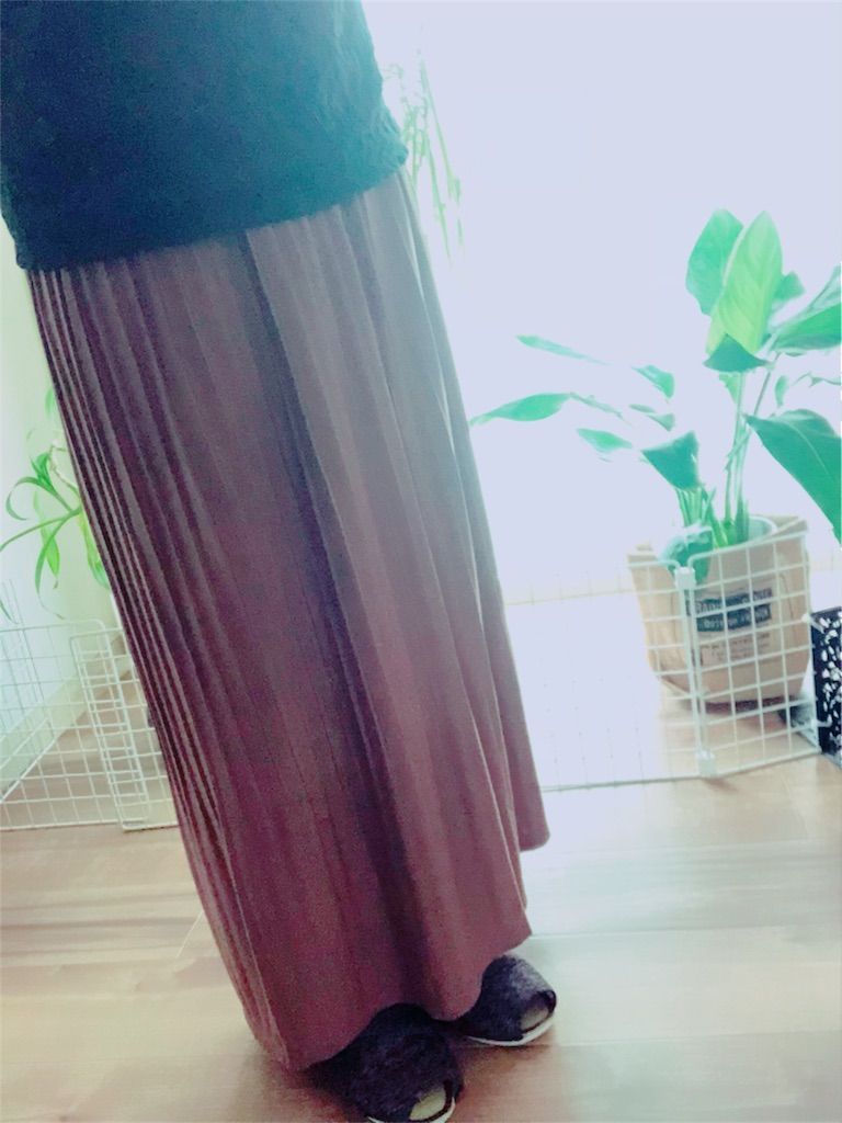 アースミュージック スカート