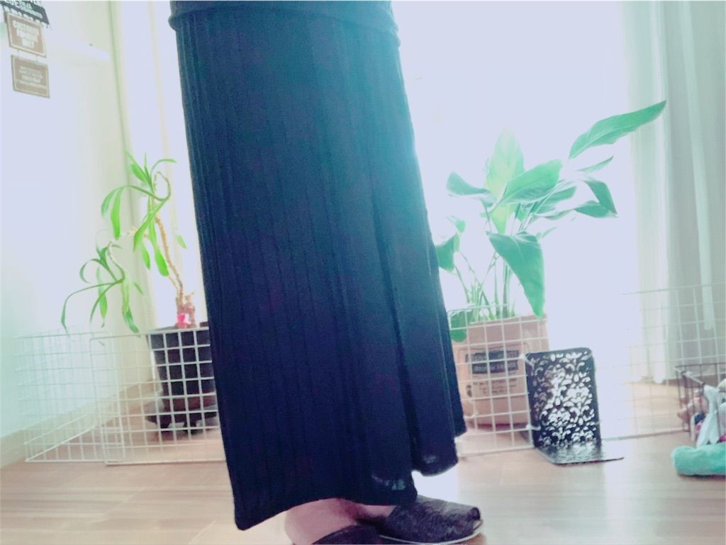 アースミュージック スカート