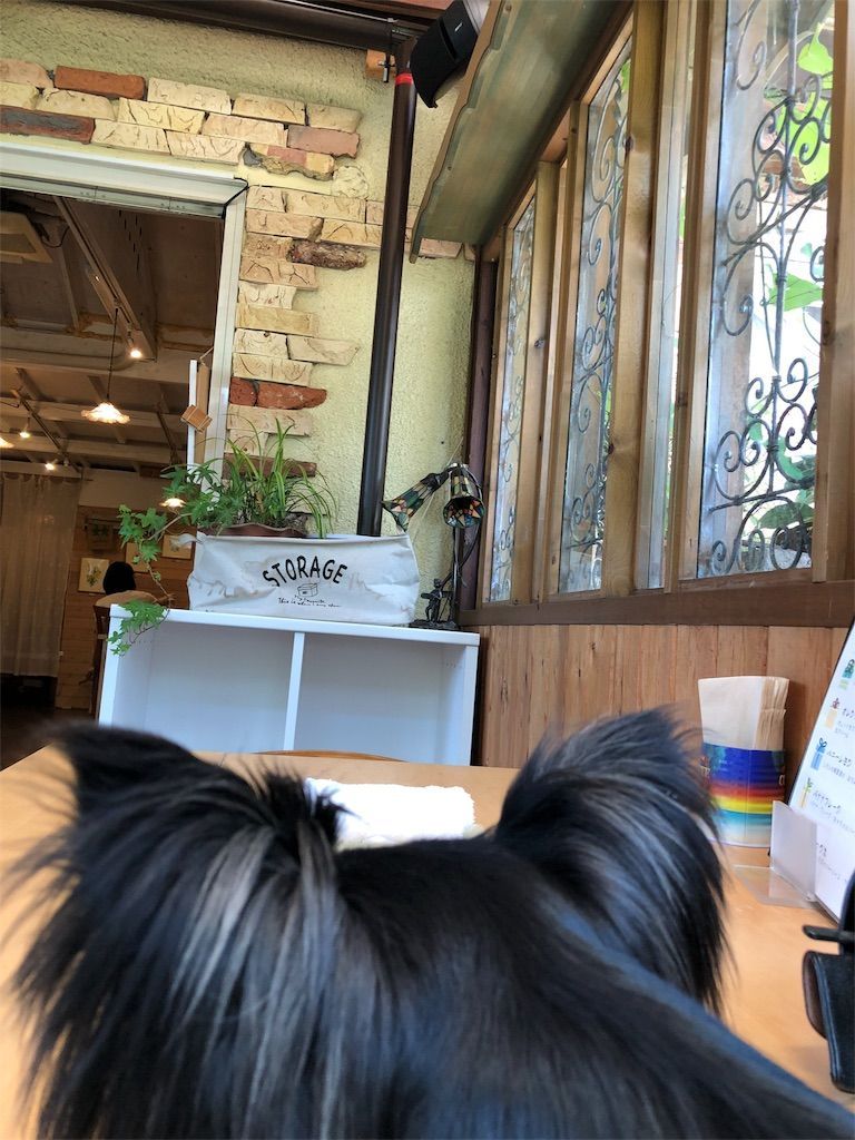 f:id:lovely088:20180717000834j:image