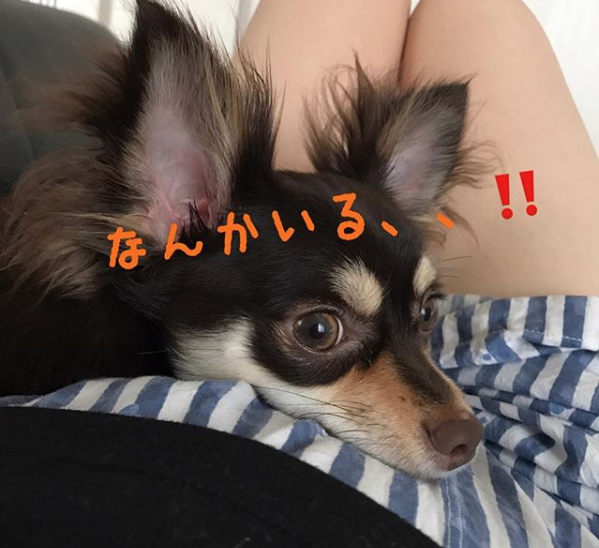 f:id:lovely088:20180803170842p:plain f:id:lovely088:20180803170842p:plain