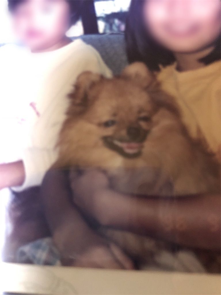 f:id:lovely088:20180921083808j:image f:id:lovely088:20180921083808j:image