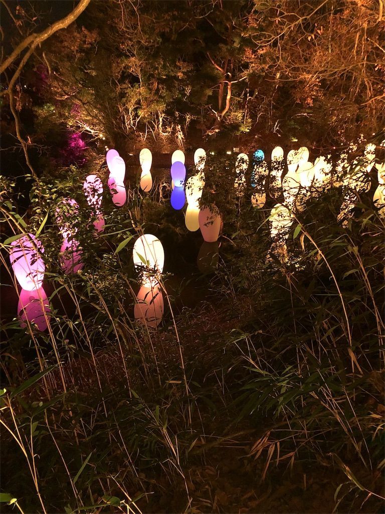 f:id:lovely088:20181217003100j:image f:id:lovely088:20181217003100j:image