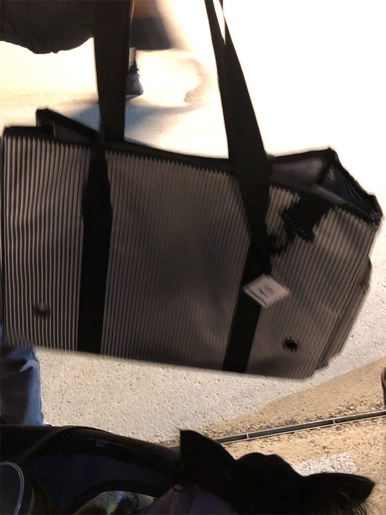 f:id:lovely088:20181217003114j:image f:id:lovely088:20181217003114j:image