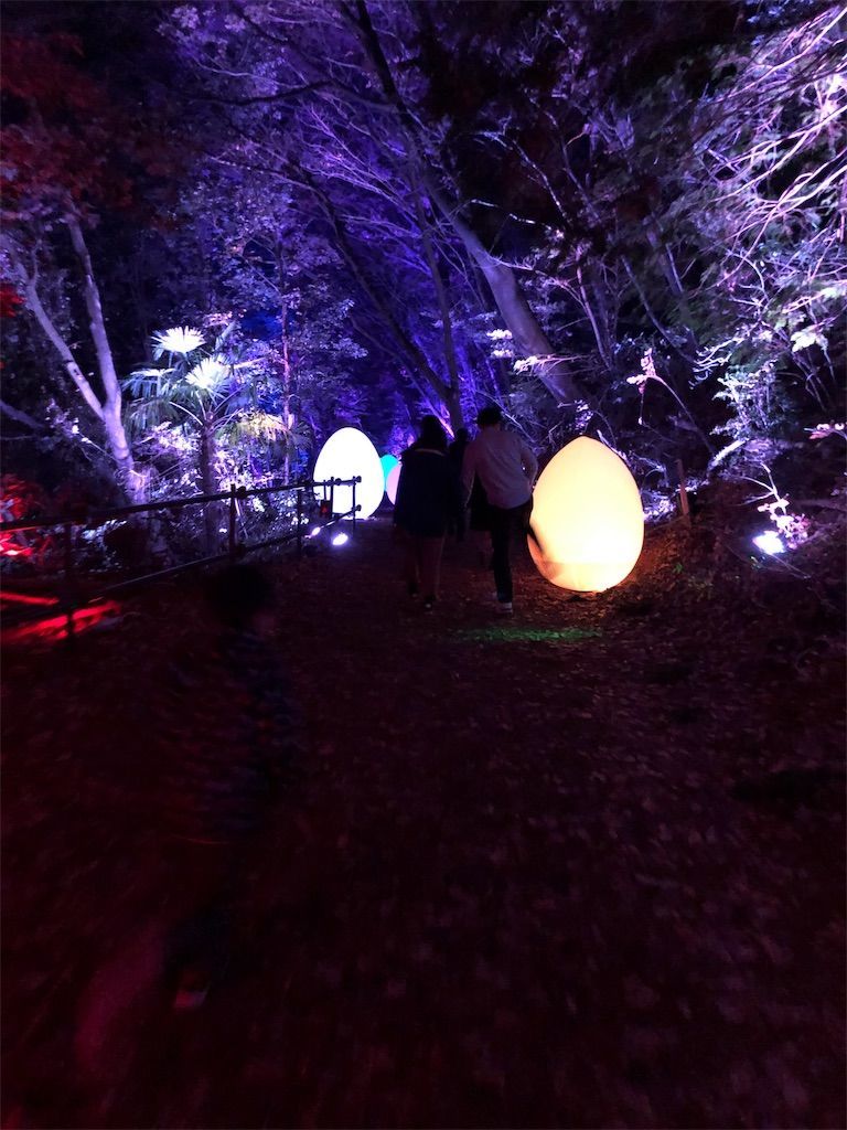 f:id:lovely088:20181217003158j:image f:id:lovely088:20181217003158j:image