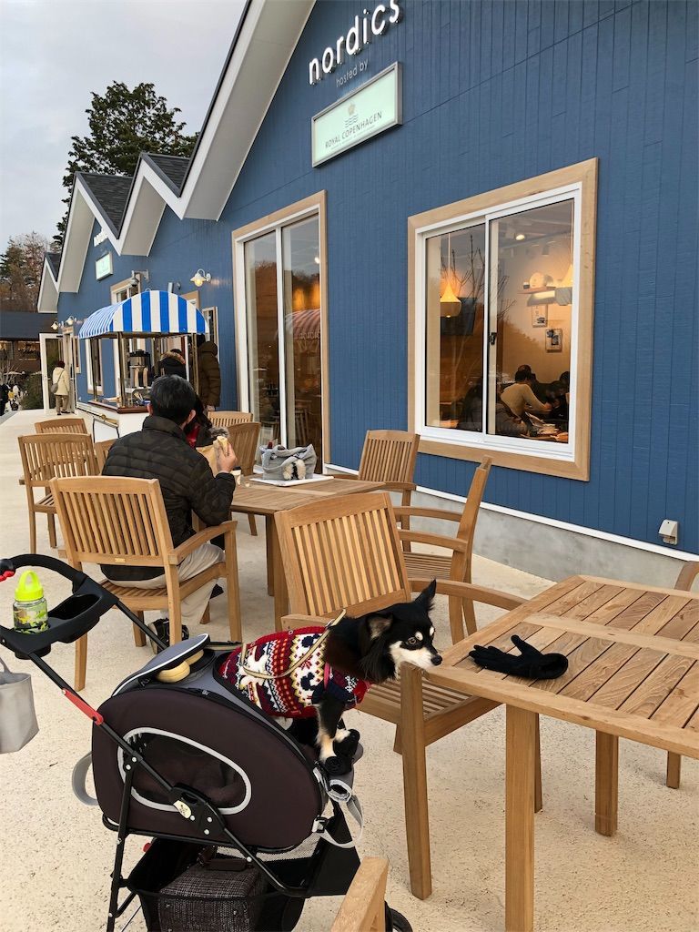 f:id:lovely088:20181217003238j:image f:id:lovely088:20181217003238j:image