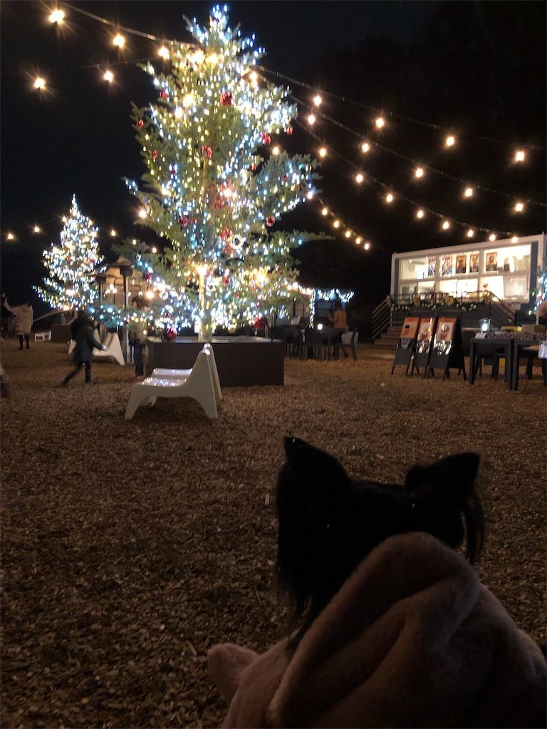 f:id:lovely088:20181217003335j:image f:id:lovely088:20181217003335j:image