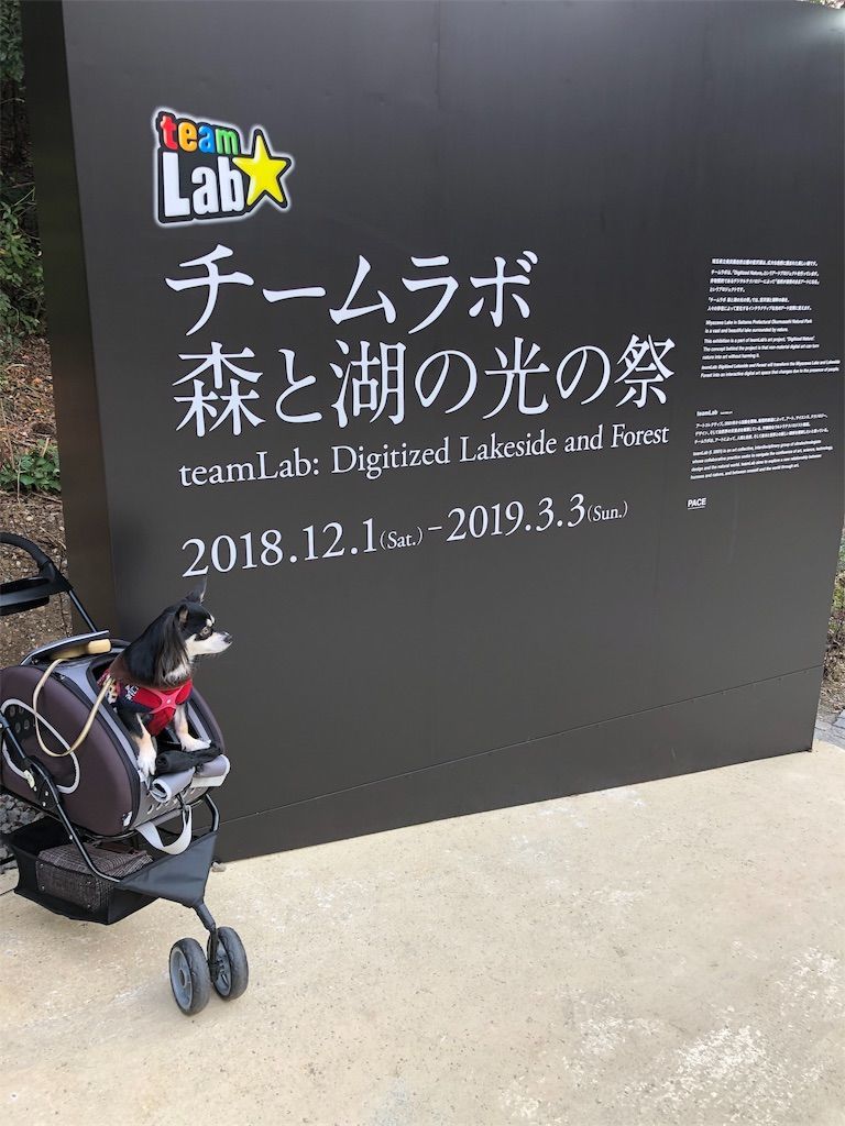 f:id:lovely088:20181217003354j:image f:id:lovely088:20181217003354j:image