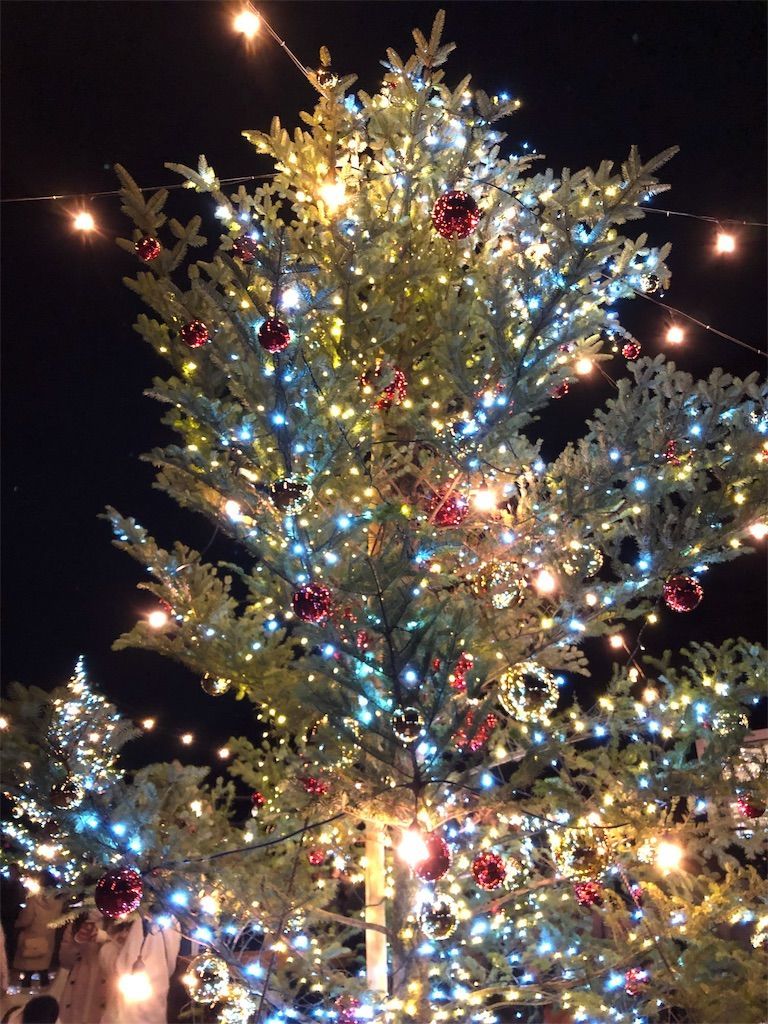 f:id:lovely088:20181217003404j:image f:id:lovely088:20181217003404j:image