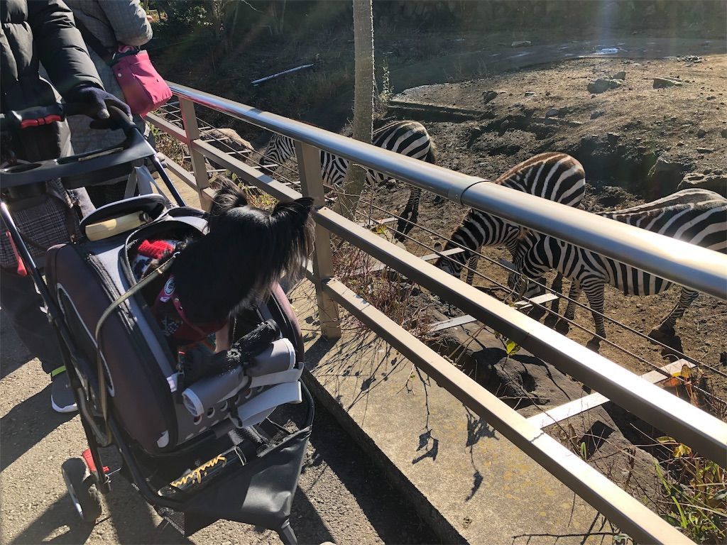 f:id:lovely088:20190105122244j:image