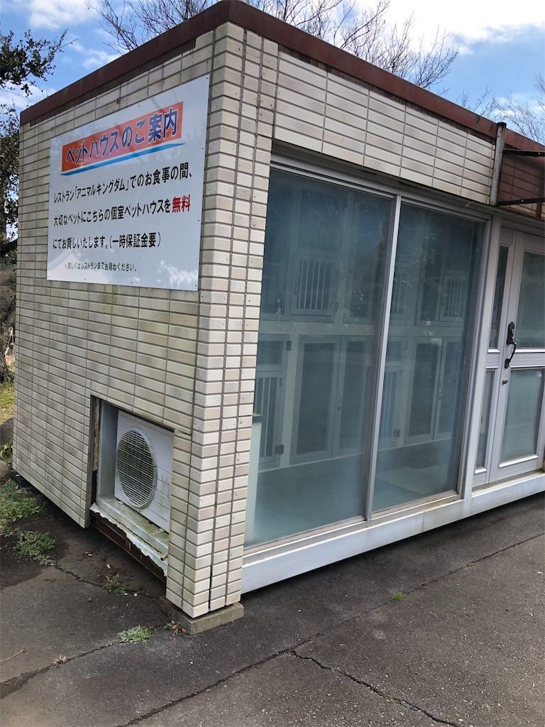 f:id:lovely088:20190105122339j:image